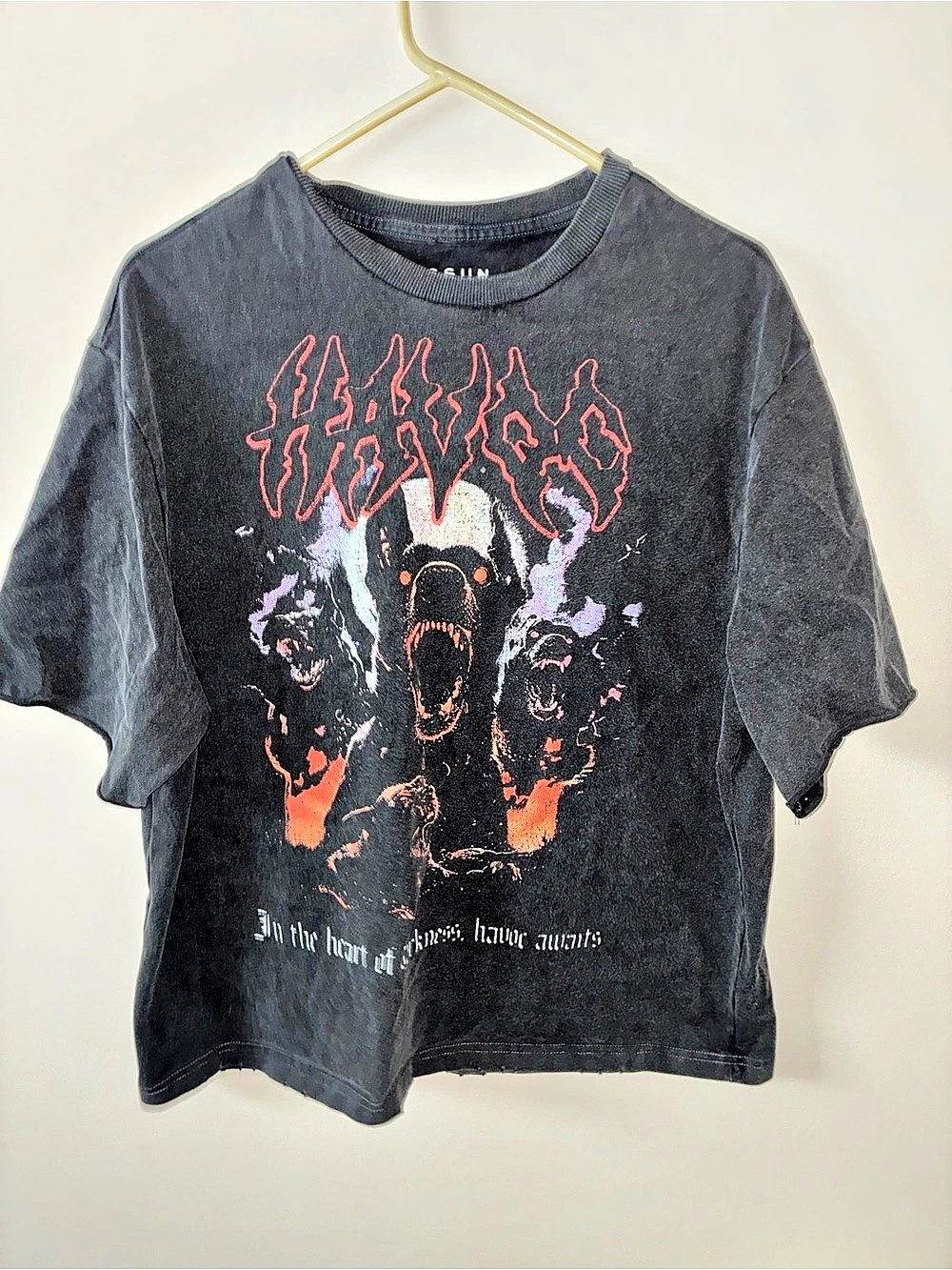 PacSun Hellhound graphic tee Size Large